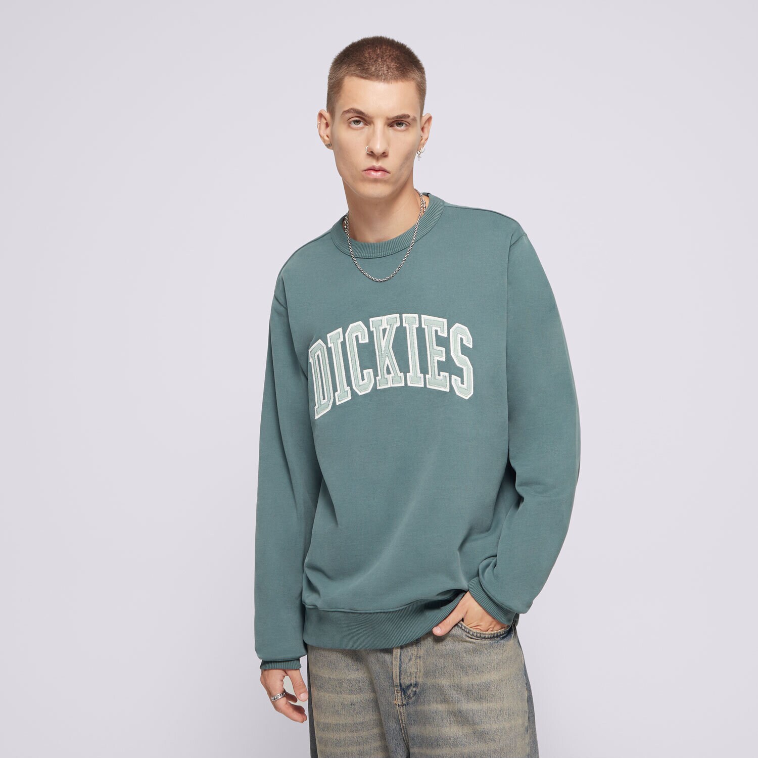 Moški pulover DICKIES JOPICA AITKIN SWEATSHIRT DK0A4XABJ951 zelena