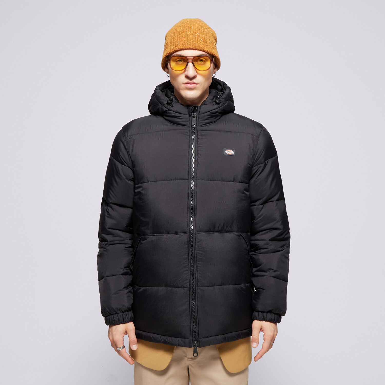Moška zimska jakna DICKIES JAKNA ZIMSKA WALDENBURG HOODED JACKET DK0A4YEYBLK1 vijolična