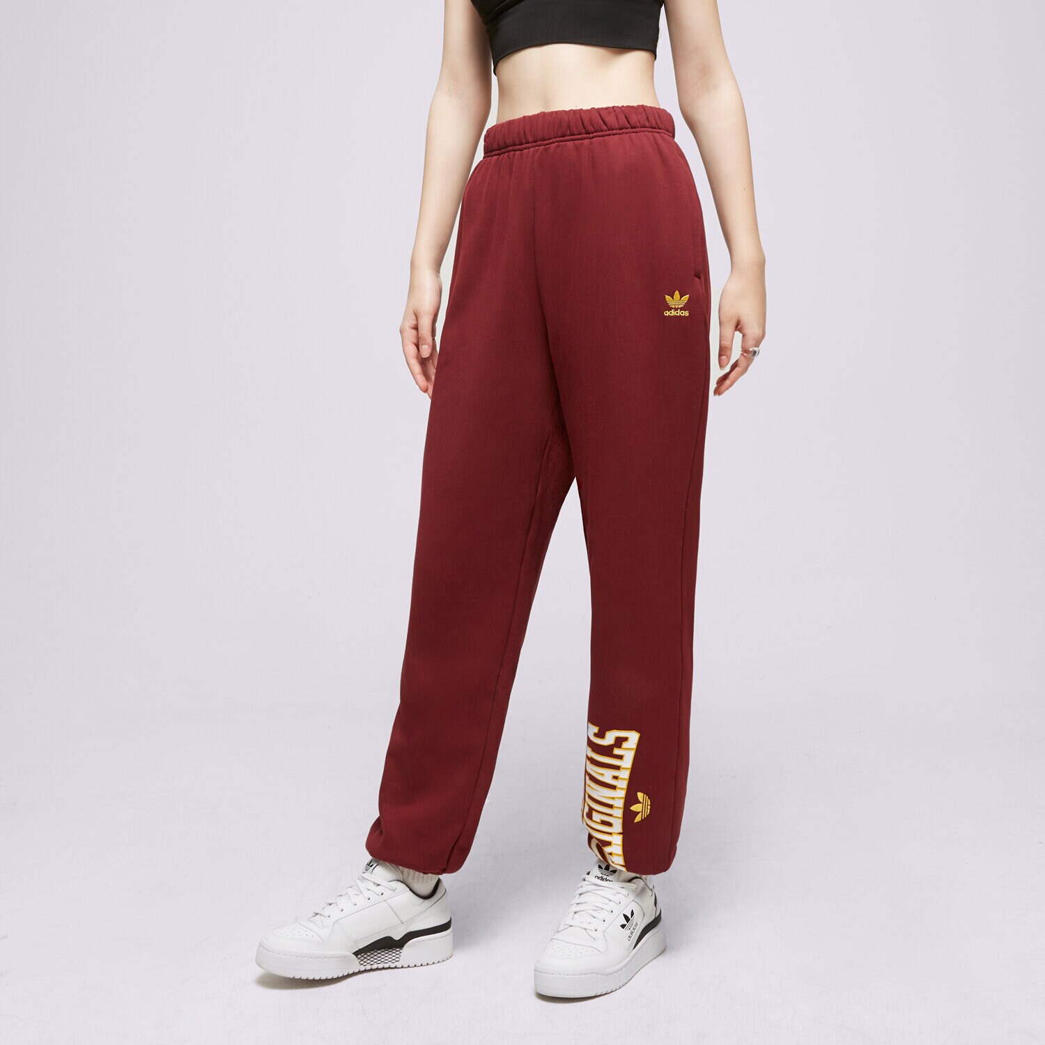 Ženske hlače ADIDAS HLAČE TRACK PANTS IC6035 bordo